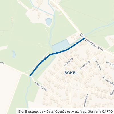 Brückenstraße Halle (Westfalen) Bokel 