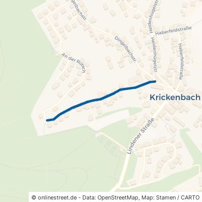 Hirtenbachstraße Krickenbach 