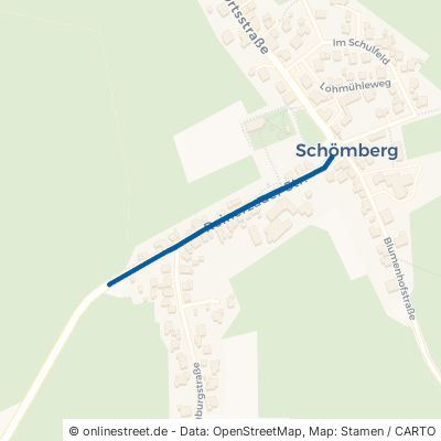 Reinerzauer Straße 72290 Loßburg Schömberg 