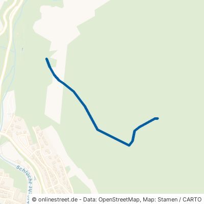Saatschulweg Waldshut-Tiengen Gurtweil 