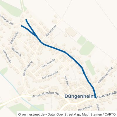Monrealer Straße Düngenheim 