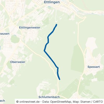 Richard-Massinger-Weg Ettlingen Ettlingenweier 