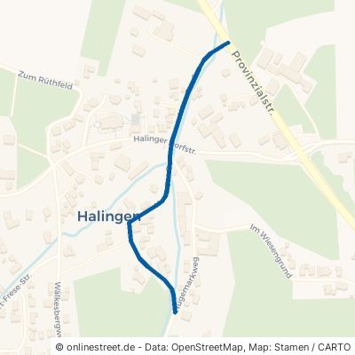 Neue Straße Menden (Sauerland) Halingen 