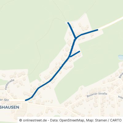 Schwarzenbacher Straße Nonnweiler Braunshausen 