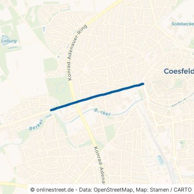 Borkener Straße Coesfeld Coesfeld-Stadt 