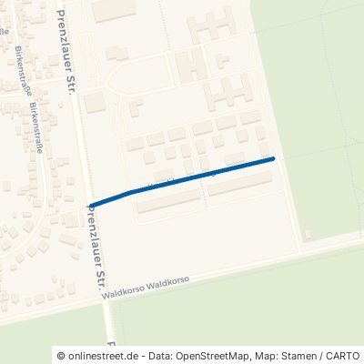 Kornblumenweg Wandlitz Basdorf 