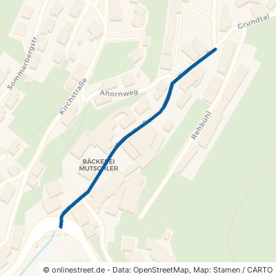 Kreuzstraße 78148 Gütenbach 