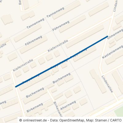 Pappelweg 31157 Sarstedt 