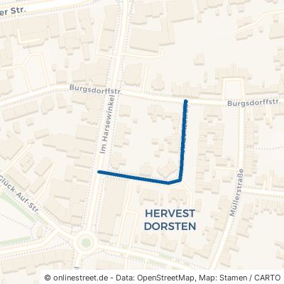 Vinzenzstraße Dorsten Hervest 