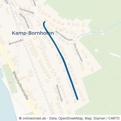 Rheinblick Kamp-Bornhofen 
