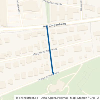 Mohnblumenweg Kassel Jungfernkopf 