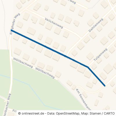 Freiherr-Vom-Stein-Straße Heidenrod Laufenselden 