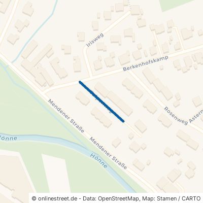 Tulpenweg Menden (Sauerland) Lendringsen 