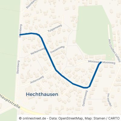 Rosenstraße Hechthausen 