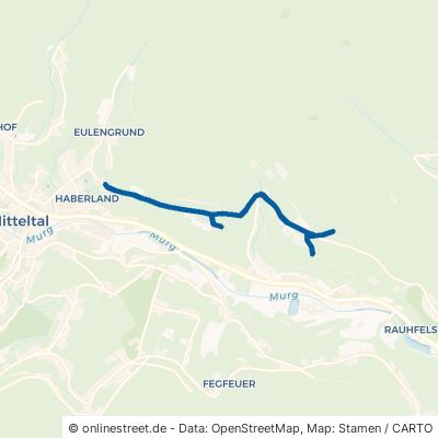 Labbronnerweg Baiersbronn Mitteltal 
