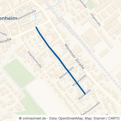 Schillerstraße 55294 Bodenheim 