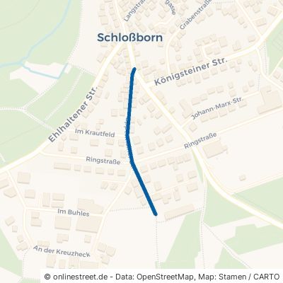 Eppenhainer Straße Glashütten Schloßborn 