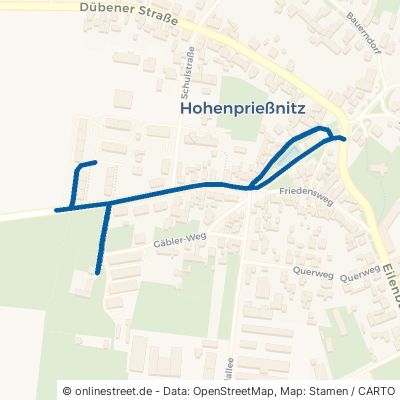Noitzscher Straße 04838 Zschepplin Hohenprießnitz 