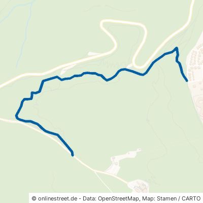 Rosstrappen-Downhill Thale 