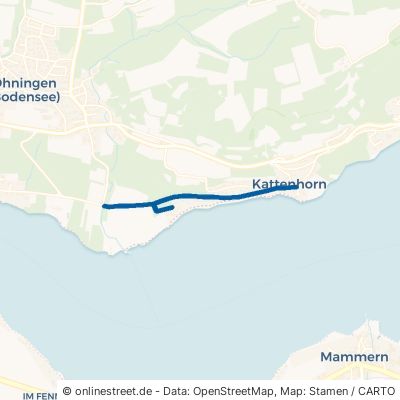 Uferweg Öhningen Kattenhorn