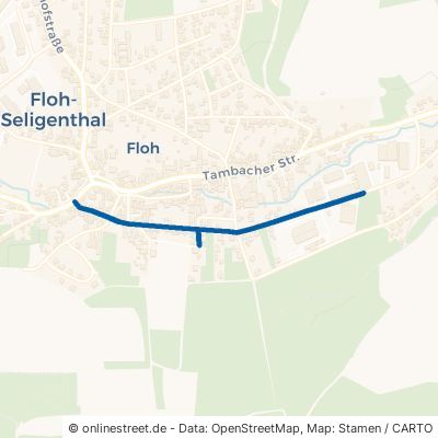 Karlstraße Floh-Seligenthal 