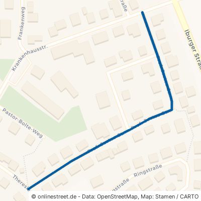 Prof.-Jostes-Straße 49219 Glandorf 