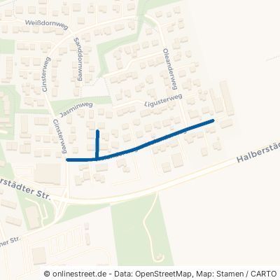 Holunderweg Wolfenbüttel Linden 
