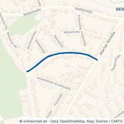 Birkenstraße Herten Bertlich 