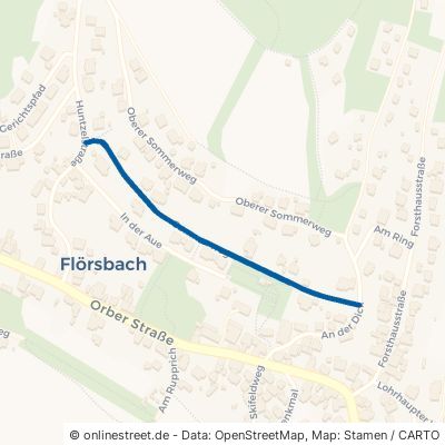 Sommerweg 63639 Flörsbachtal Flörsbach 