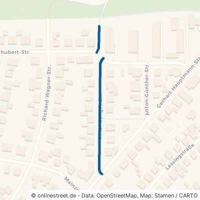 Josef-Seliger-Straße Ginsheim-Gustavsburg 