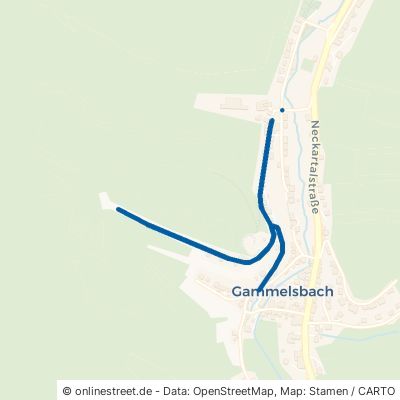 Am Schloßberg 64760 Oberzent Gammelsbach 
