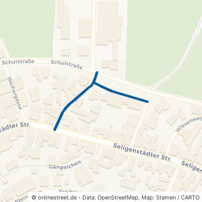 Borngasse 63500 Seligenstadt Froschhausen 