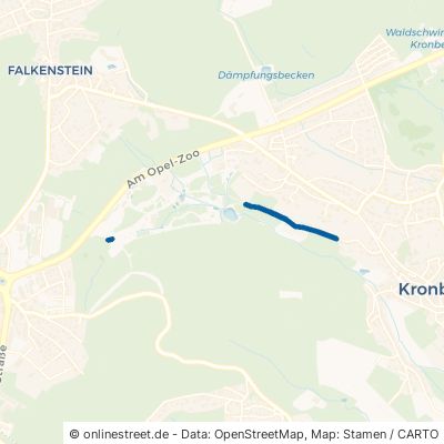 Philosophenweg Königstein im Taunus Falkenstein 