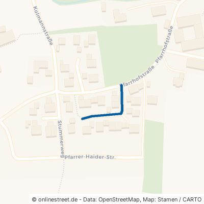 Pfarrer-Altenburger-Straße Schnaitsee Waldhausen 