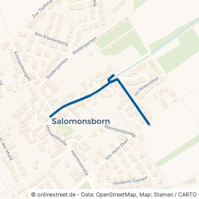 Am Rosenborn Erfurt Salomonsborn 