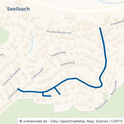Edelweißweg Siegen Seelbach 
