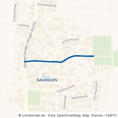 Amtsstraße Salzgitter Sauingen 