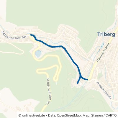 Wallfahrtstraße 78098 Triberg Stadtgebiet 