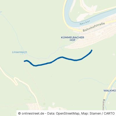 Linsenteichweg Neckargemünd 