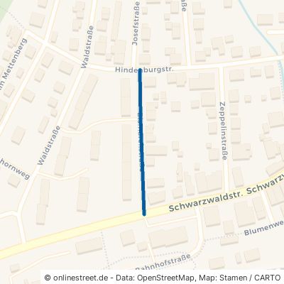 Bismarckstraße 78194 Immendingen 
