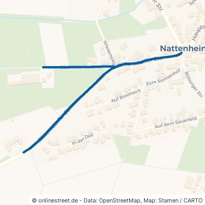 Rittersdorfer Straße Nattenheim 