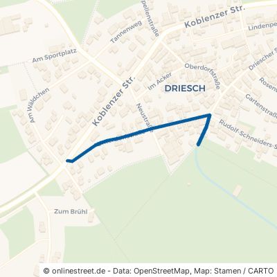 Unterdorfstraße 56826 Lutzerath Driesch 
