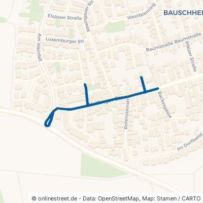 Wolfinger Straße 65428 Rüsselsheim am Main Bauschheim 