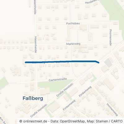Steinweg Faßberg 