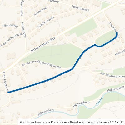 Georg-Neumark-Straße Schleusingen 