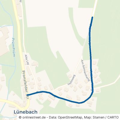Prümerweg Lünebach 