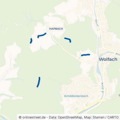 Wolfacher Grenzgänger-Steig 77709 Wolfach 