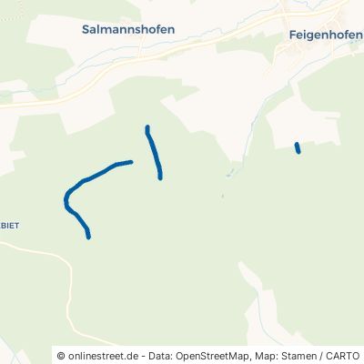 Forstweg Biberbach Feigenhofen 