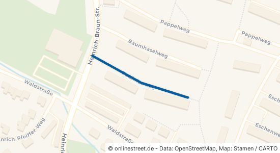 Robinienweg Zwickau Marienthal 