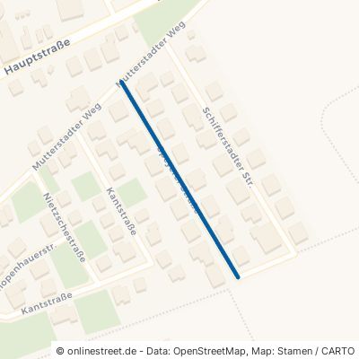Speyerer Straße 67126 Hochdorf-Assenheim Hochdorf 